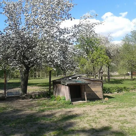 Zahrada Madeta * Veselí nad Lužnicí