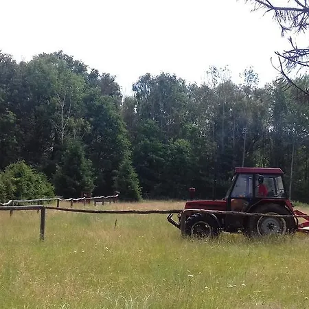 Vakantiehuis Zahrada Madeta